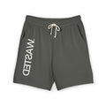 WASTED Shorts (grey)
