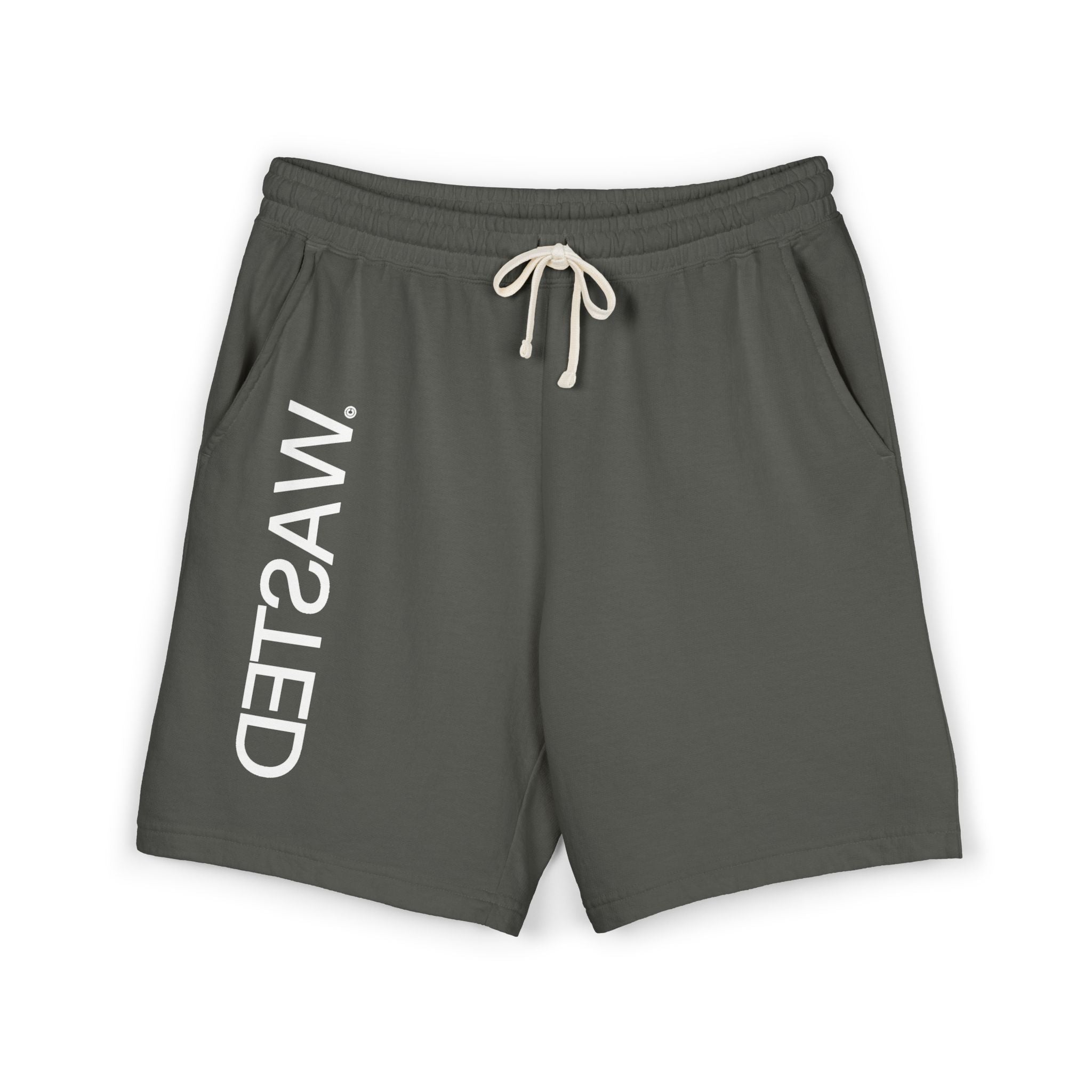 WASTED Shorts (grey)